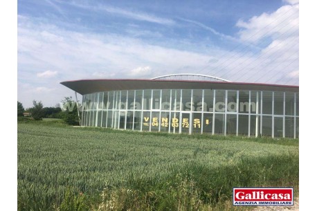 Vendita Capannone 550 Mq a Felonica